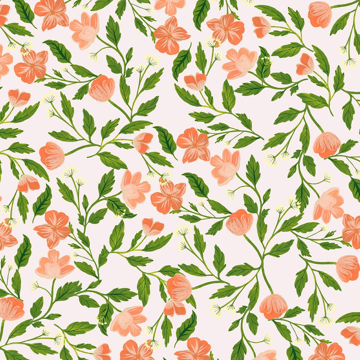 556f8e68503859.5b5f7c0ca38b6